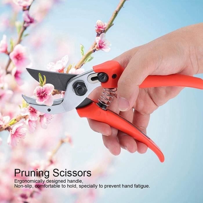 Petal Power Ensemble de gants de jardinage et sécateur pour femme – Sécateur à lame franche et