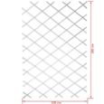 Treillis extensible plastique blanc - 100x200cm - Nature - S’adapte en largeur - Set de fixation-2