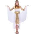 Costume adulte femme reine d'Egypte - PTIT CLOWN - Blanc et doré or - Taille S-M-0