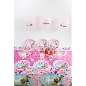 Kit Anniversaire Cheval Cdiscount Kit Anniversaire Cheval Cdiscount
