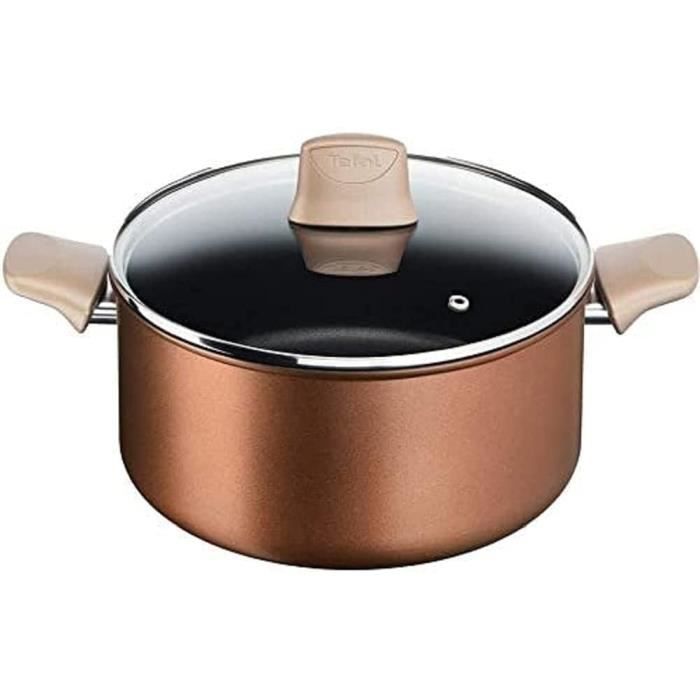 FAITOUT Tefal ECO-Respect Faitout 24 cm - 5 L + Couvercle Verre Antiadh-eacute,sif Induction G2544602, fabriqu-eacute, en France2