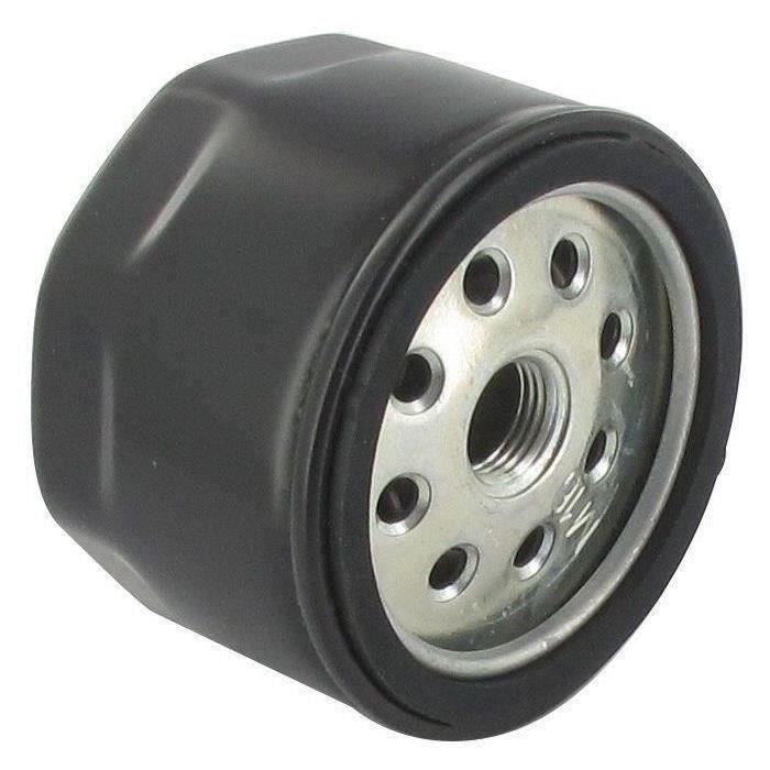 Filtre à carburant LOMBARDINI - RUGGERINI 175-23 - 17523