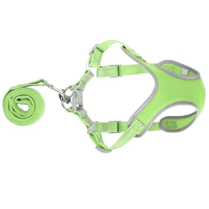 PANDENGZHE Mousqueton De Verrouillage 6,3 Cm Avec Anneau Pivotant Pour