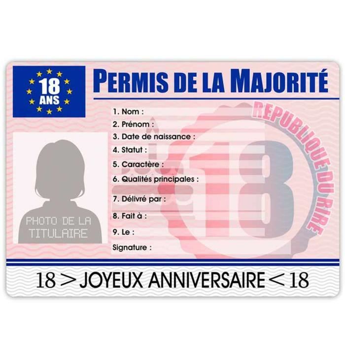Carte Permis Europeen Permis De La Majorite 18 Ans Femme 22x15 5 Cm R2170 Rose Cdiscount Bagagerie Maroquinerie