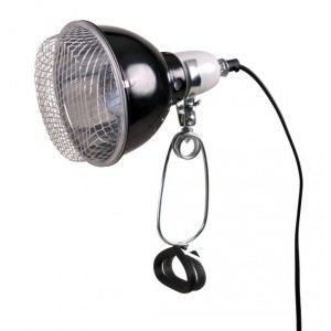 TRIXIE Lampe pour terrarium avec pince 14 x 17 cm 100 W