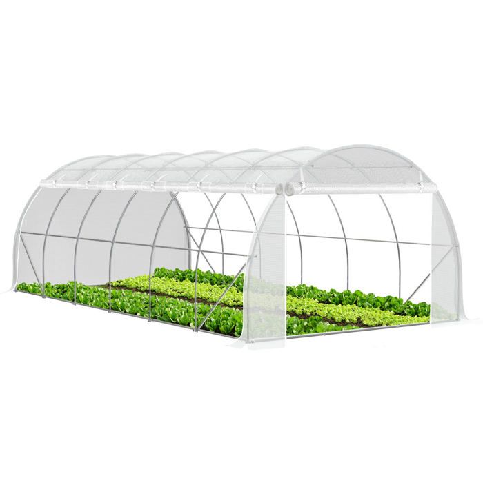 Serre de Jardin, Serre d'Hivernage, avec Porte et 2 Fenêtres, avec Tubes d'Acier PE, 170x68x200cm Serre de Jardin, Serre d'Hivernage, avec Porte et 2 Fenêtres, avec Tubes d'Acier PE, 170x68x200cm
