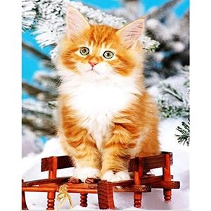 Peinture Diamant 5d Diy Point De Croix Diamond Painting Peinture Par Numero Broderie Diamant Kit Complet Decoration 30 30cm Achat Vente Tableau Toile Cdiscount