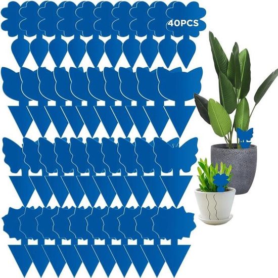 Piège à Les Poissons D'Argent - Paquet De 20 | Pièges à Colle D