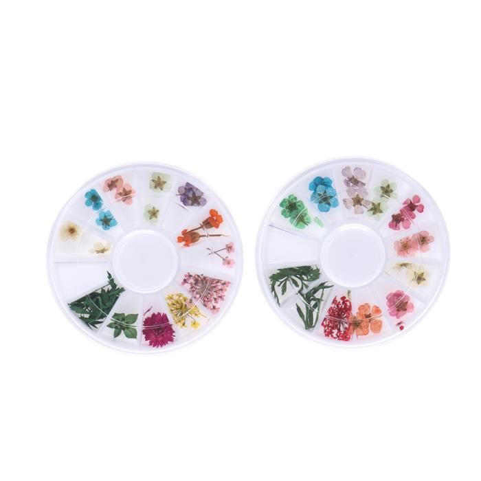 2 boîtes de fleurs séchées à ongles naturelles Applique 3D feuilles décoratives tatouages ​​pour les femmes VERNIS A ONGLES