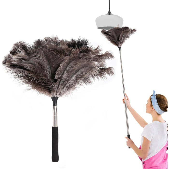 Plumeau autruche télescopique - XVX - Manche extensible longue portée - Pour plafonds stores et surfaces hautes-Nettoyage