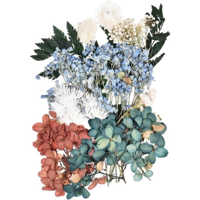 Fleurs Séchées Naturelles Smatime - Ensemble A5 Pour Décoration, Scrapbooking Et Artisanat (Blanc)
