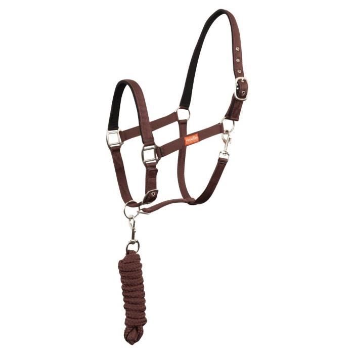 Ensemble Licol Et Longe Astana – Look Brillant Et Rembourrage Confort Pour Cheval