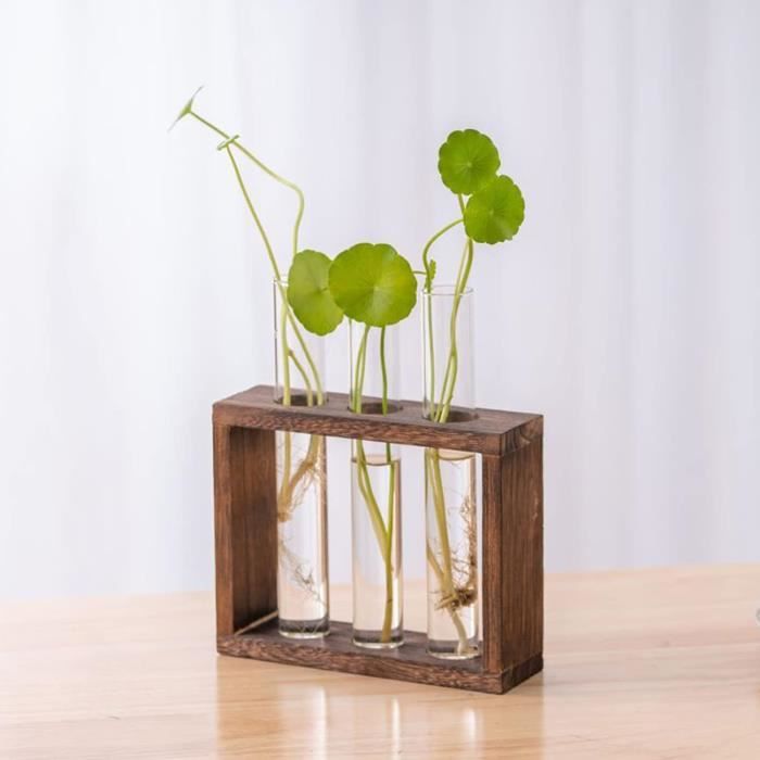 Vase Tube à Essai Terrarium Hydroponique En Verre Avec Support Bois - Station Propagation Plantes