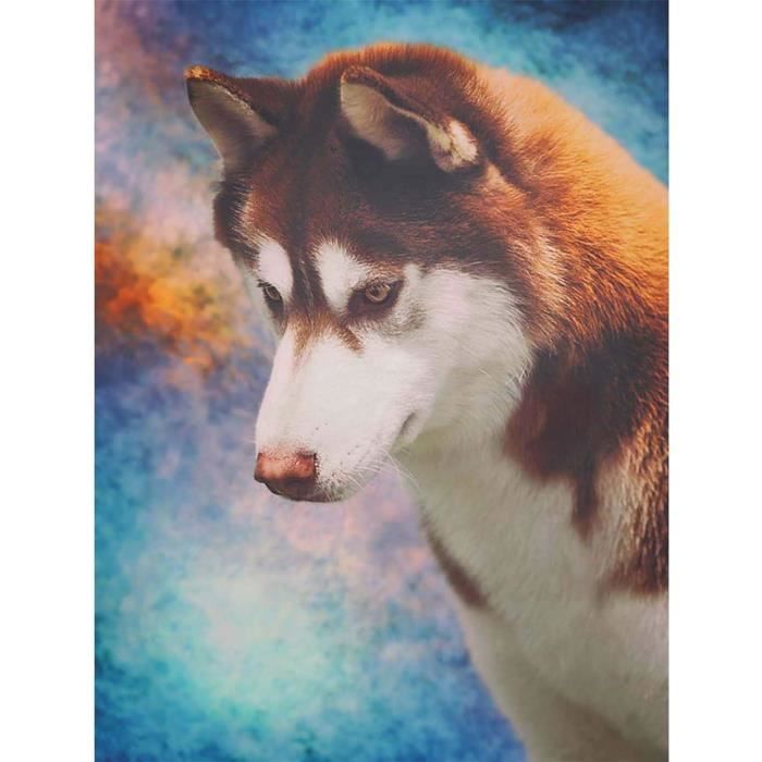 Kit Peinture Diamant 5D 'Chien Carlin' - Toile 30x40 Cm, Forage Complet, Décoration Murale