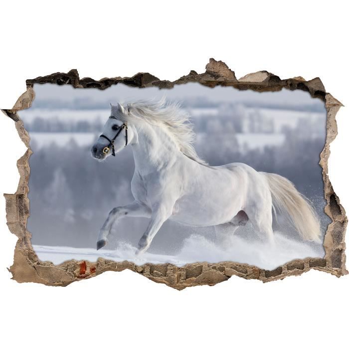 Cheval Blanc Dans La Neige Pre Mur Percee En 3d Look Mur Ou Format Vignette De La Porte 62x42cm Stickers Muraux Sticker Mural Cdiscount Maison