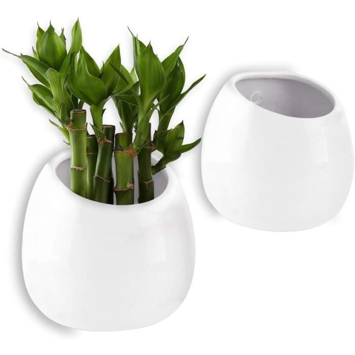 Pot pour Plantes Mural Blanc - Lot de 2 - Petit Taille - Décoration Murale pour Maison et Jardin