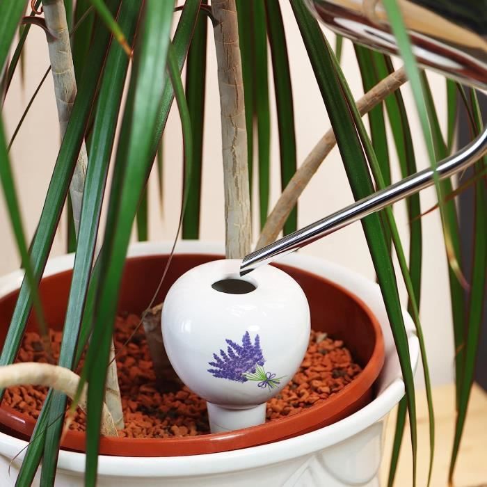 ® 4X arrosage Automatique pour Plantes d'intérieur - Distributeur d'eau  pour Plantes - cônes d'argile pour arroser Les Fleurs [285]