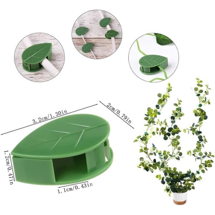 Lot De 3 Clips Grenouilles Mignons Pour Plantes - Supports Stables Pour Plantes Grimpantes Et Décoration
