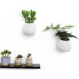 Pot pour Plantes Mural Blanc - Lot de 2 - Petit Taille - Décoration Murale pour Maison et Jardin-2