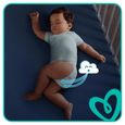 Pampers Baby-Dry Taille 3, 6-10 kg - 50 Couches-3
