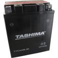 Batterie plomb étanche TASHIMA YTX14AHLBS 12 Volts 12A sans entretien Greenstar-0