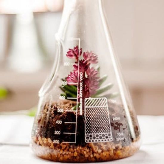 Terrarium Chimiste Cadeau Maestro Cdiscount Animalerie