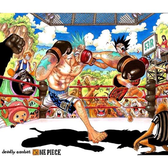 Poster Affiche One Piece Combat Luffy Franky Manga Japon Anime 50x59cmB 