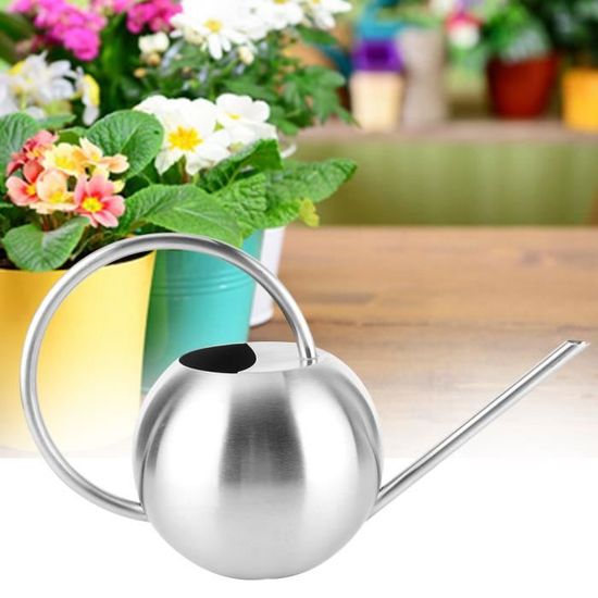 Arrosoir 1L Pour Plantes D'Intérieur - Bec Long Acier Inoxydable, Design Élégant Gris Transparent, Idéal Fleurs Et Succulentes
