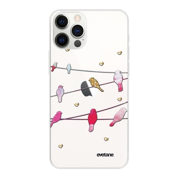 Coque iPhone 12 Pro Max 360 intégrale transparente Oiseaux Marbre Ecriture Tendance Design Evetane.
