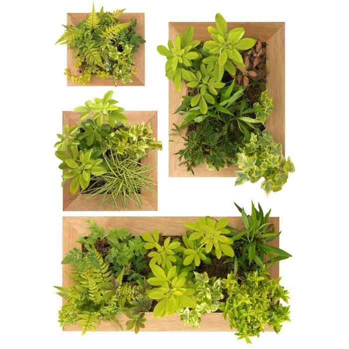 PLAGE Stickers déco - Jardin Vertical 1 planche - 48 x 68 cm
