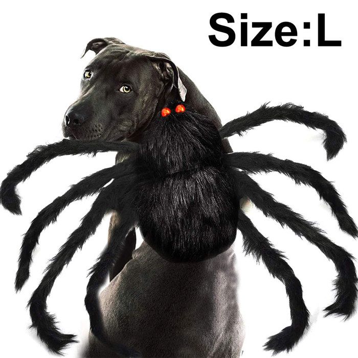 Comparer les prix de Costume d'araignée pour animaux de compagnie, Costumes d'halloween pour chiens et chats, Convient aux chiens moyens et petits