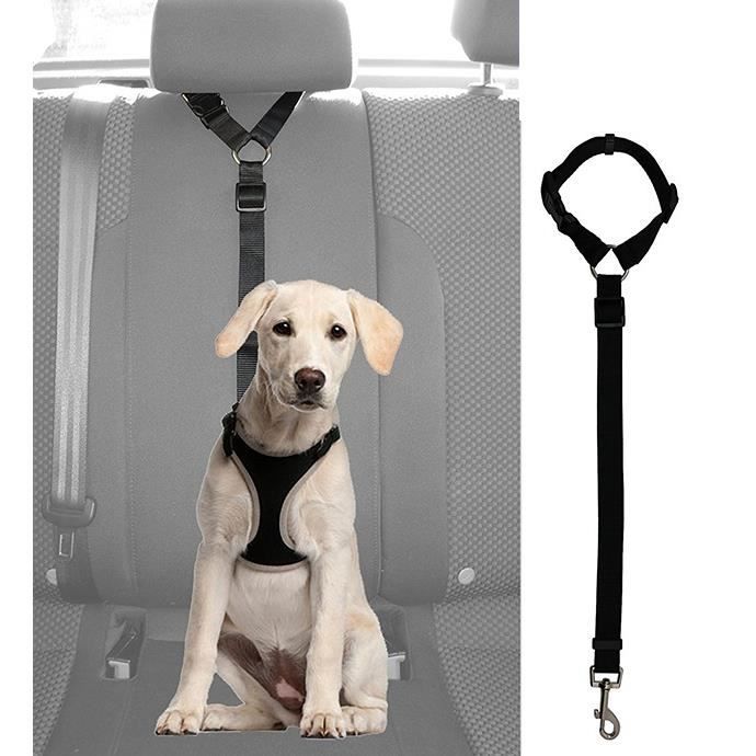 Ceinture de Sécurité pour Chien Universelle Réglable pour Voiture Nylon Noir Cdiscount Animalerie Ceinture de Sécurité pour Chien Universelle Réglable pour Voiture Nylon Noir Cdiscount Animalerie