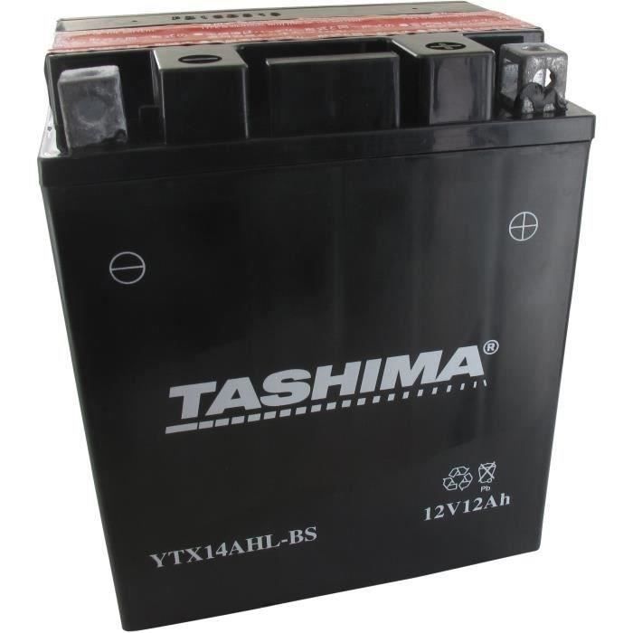Batterie plomb étanche TASHIMA YTX14AHLBS 12 Volts 12A sans entretien Greenstar