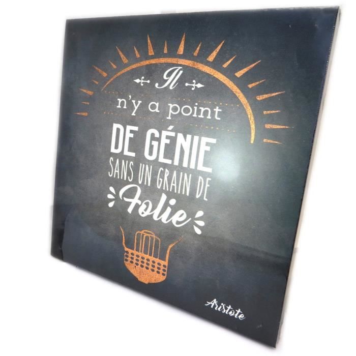 Toile Ardoise Citations Noir Il N Y A Point De Genie Un Un Grain De Folie Aristote 28x28 Cm P2970 Cdiscount Maison