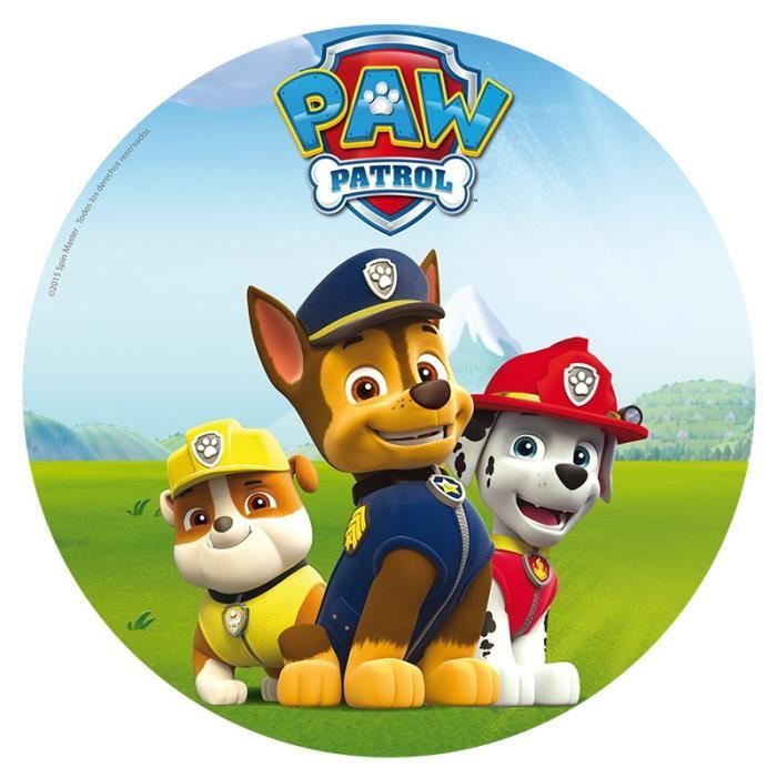 DISQUE AZYME 20 CM PAT PATROUILLE DECOR GATEAU ANNIVERSAIRE PAW PATROL -  Cdiscount Maison