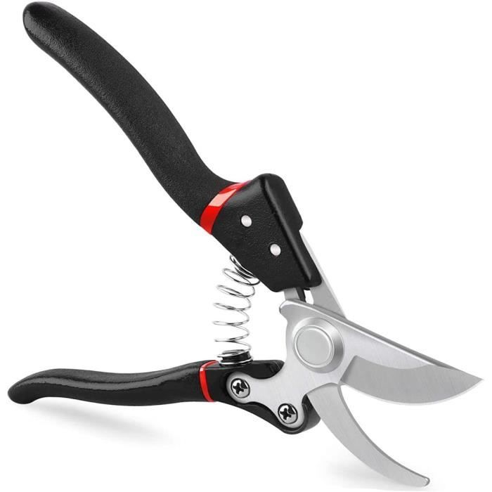 Ausonia - Sécateur Professionnel Forgé De 19 Cm Avec Manche Poli Et