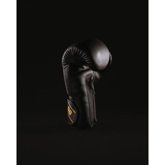 Gants De Boxe METAL BOXE Starter – 10 Oz, PU, Mousse Confort Plus, WindTec, Pour Entraînement