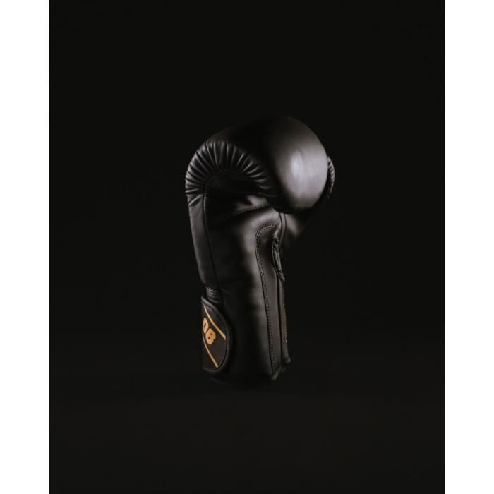 Gants de Muay Thai Fairtex ONE Noir – Combat Arena