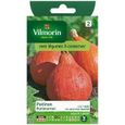 Potiron potimarron - VILMORIN - Graines - Variété riche en vitamines - Goût fin - Conservation hiver-0
