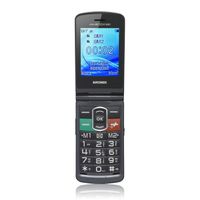 Téléphone mobile - BRONDI - Amico N°Uno - Double SIM - 1,3 MP - 800 mAh - Titane