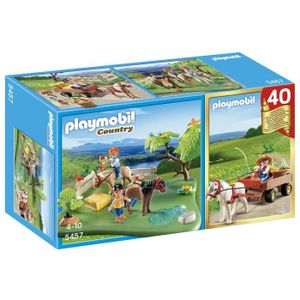 Playmobil Anniversaire Cdiscount