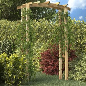 Arche pour jardin bois - Cdiscount