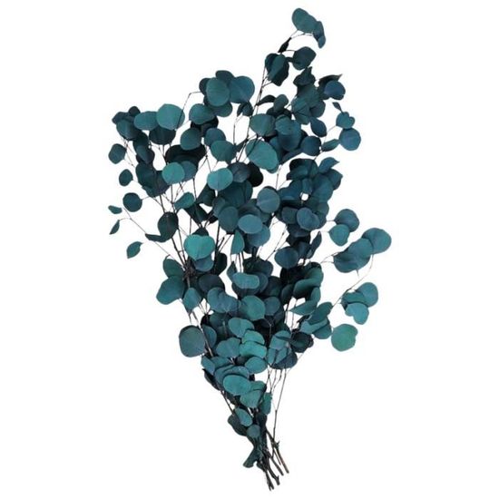 Fleurs séchées d'eucalyptus Feuilles artificielles Bouquet séché de fleurs (bleu)   FLEUR-PLANTE ARTIFICIELLE - FLEUR SECHEE