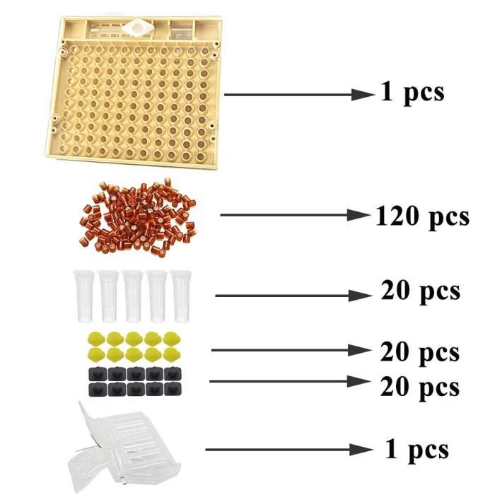 Kit d'élevage de Reine des Abeilles, Kit de Greffage pour Système
