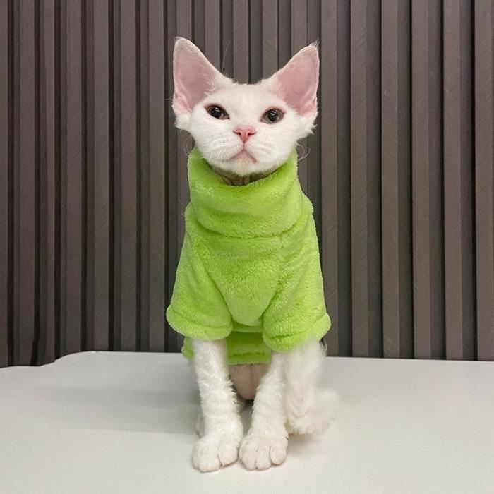 Chat vetement online
