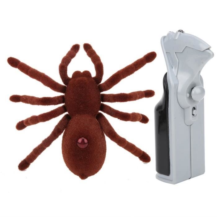 Araignée RC Télécommandée - Grimpe Aux Murs Et Plafonds, Yeux LED, Rechargeable, Jouet Pour Enfants Dès 3 Ans