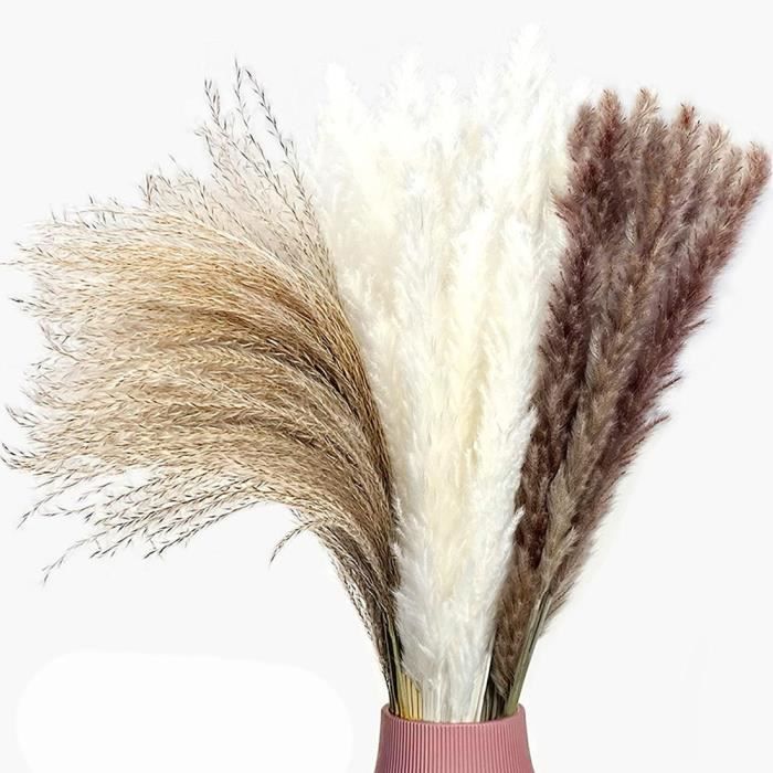 1 Pièces Grande Pampa Herbe Roseau Fleur Séchée Décoration Gris Mariage Disposition Coin