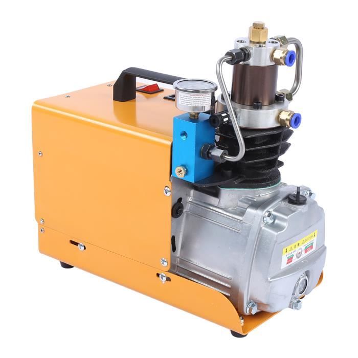 Pompe à air commerciale 200W - 3566 GPH