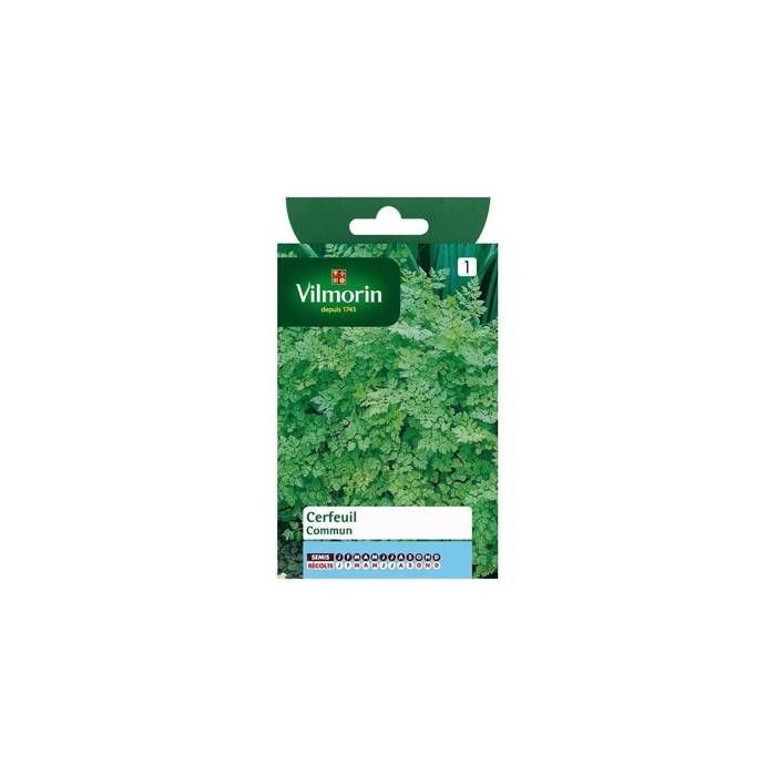 Meilleurs prix pour Cerfeuil commun - VILMORIN - Plante aromatique - Parfum subtil et délicat - Fines herbes