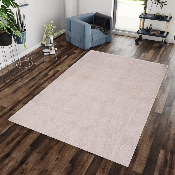 Sitemapcdatahttpsintkedriinfotapis Beige Poil Ras